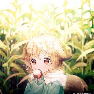 迪丽热巴陈飞宇白日提灯热度涨幅